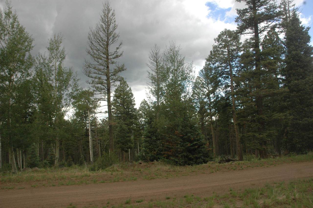 1334 Skyview Ovl - Photo 1