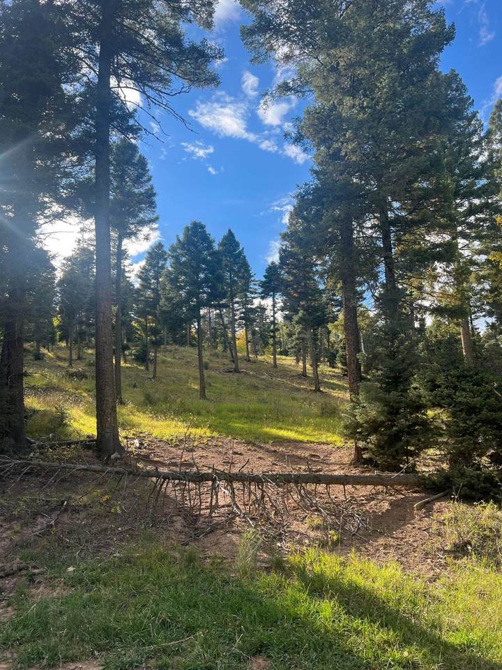 TBD Forest Road 76 Lot 4 - Photo 1