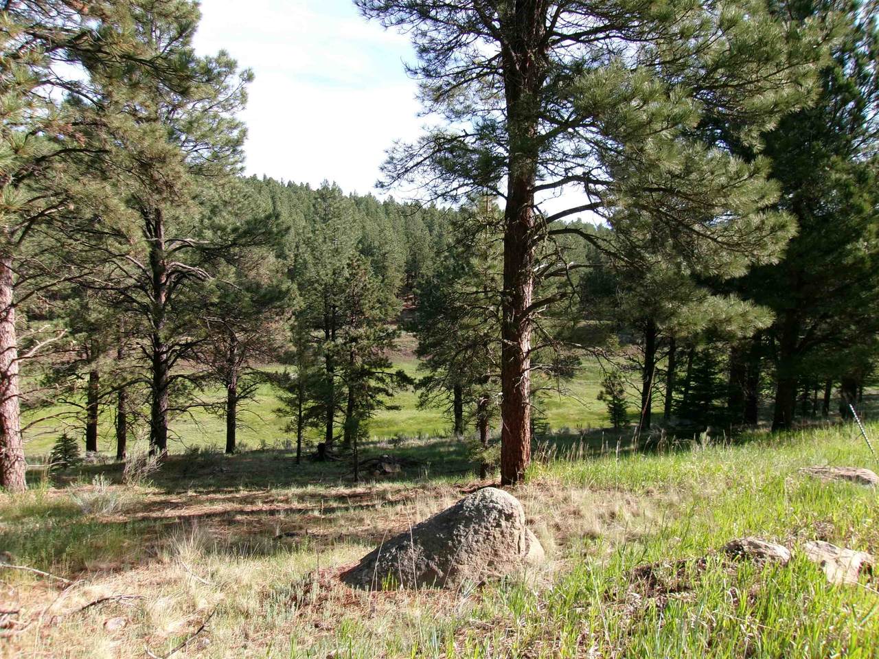 https://bt-photos.global.ssl.fastly.net/taos/1280_boomver_1_111931-2.jpg