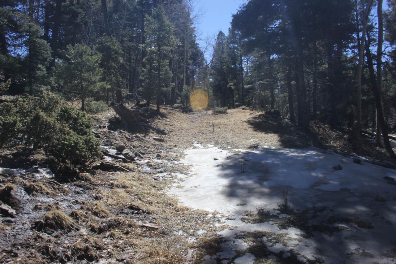 https://bt-photos.global.ssl.fastly.net/taos/1280_boomver_1_112902-2.jpg