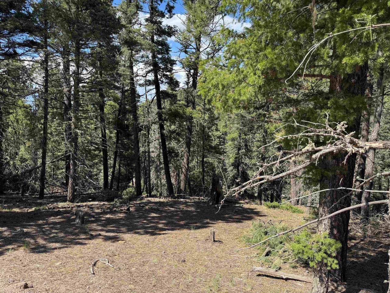 Lot 1662 El Vado Way - Photo 1