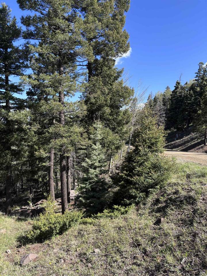 Lot 581 Panorama Way - Photo 1
