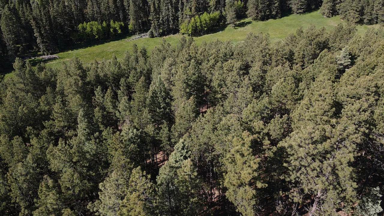 Lot 83 San Juan Dr - Photo 1