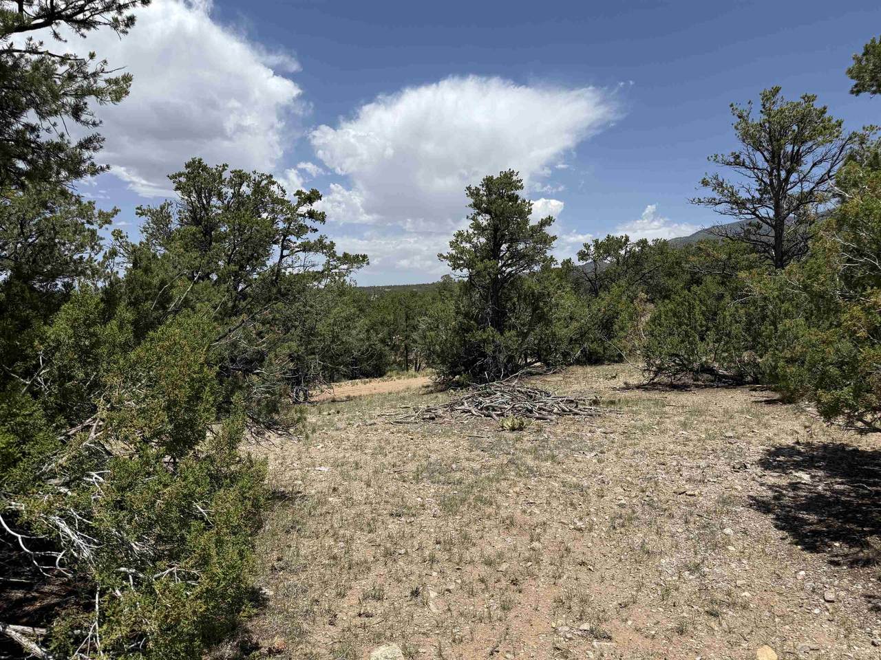 XX Bret Hale Road - Photo 1