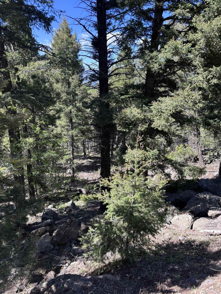 Lot 1144 Panorama Way - Photo 1