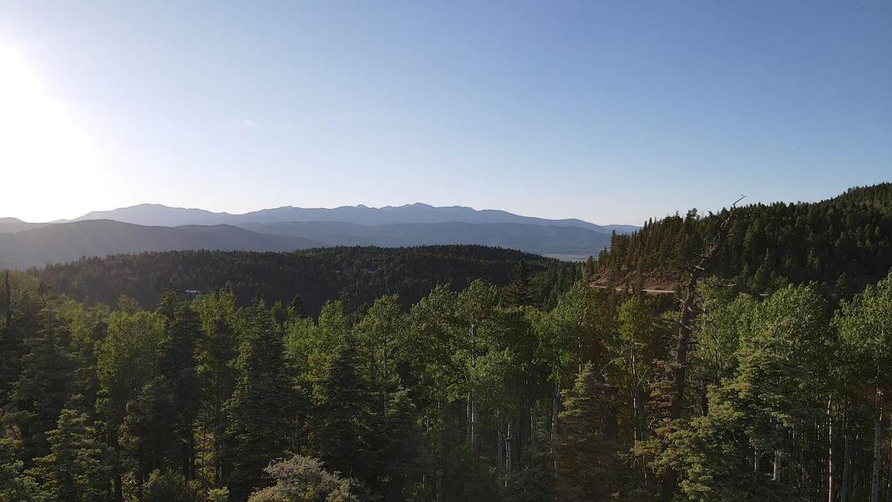 Lot 142 Beaver Loop - Photo 1