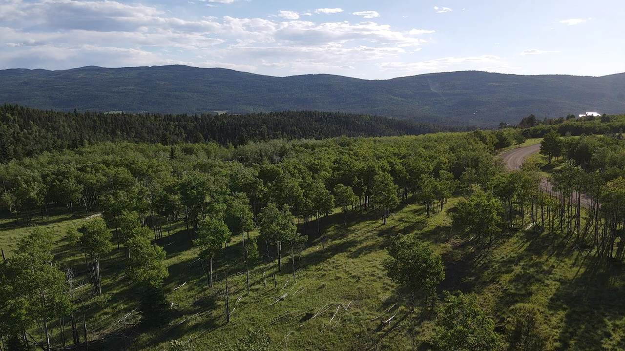 Lot 111 Beaver Loop - Photo 1