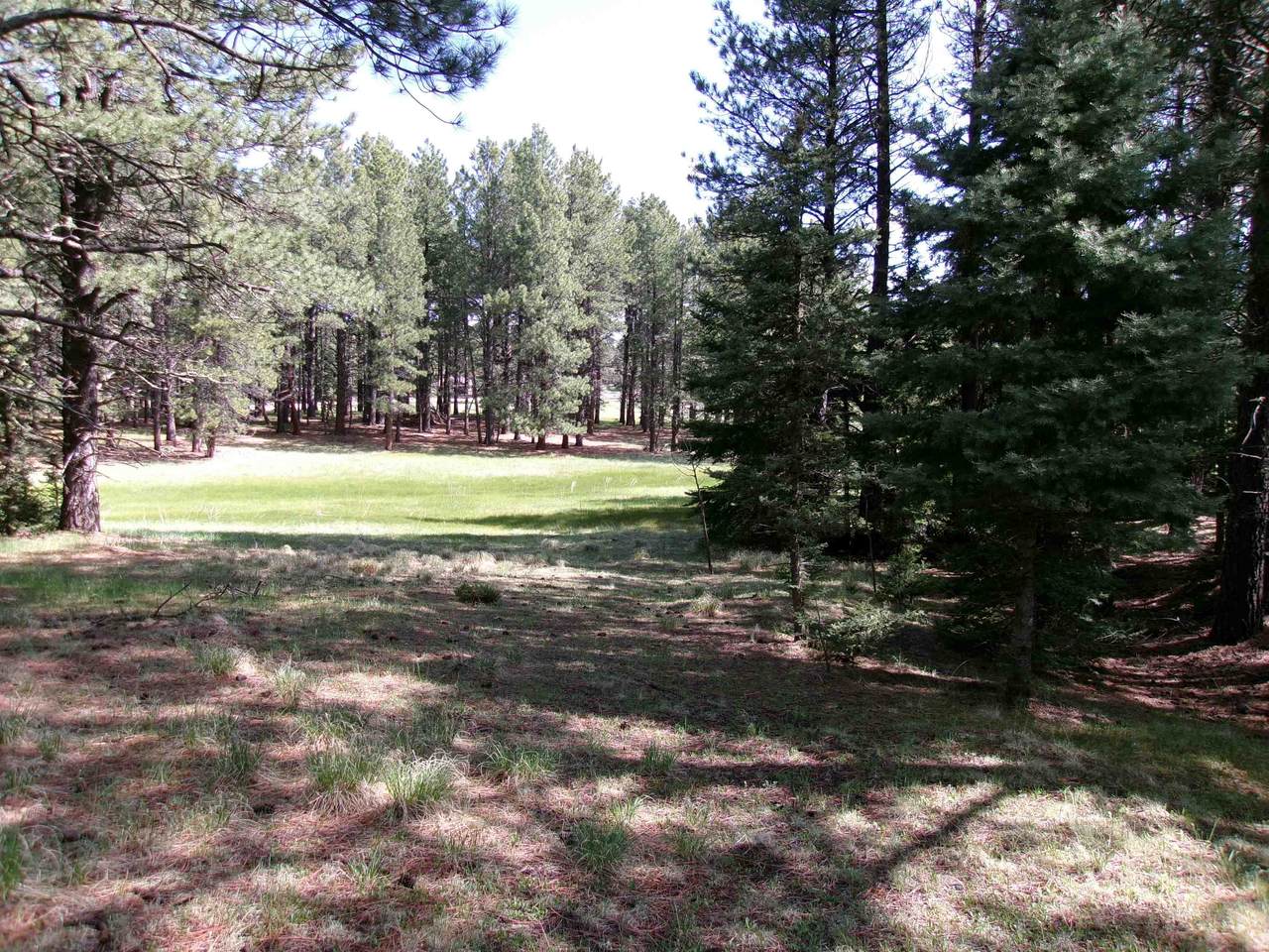 Lot 631 Sarazen Terrace - Photo 1