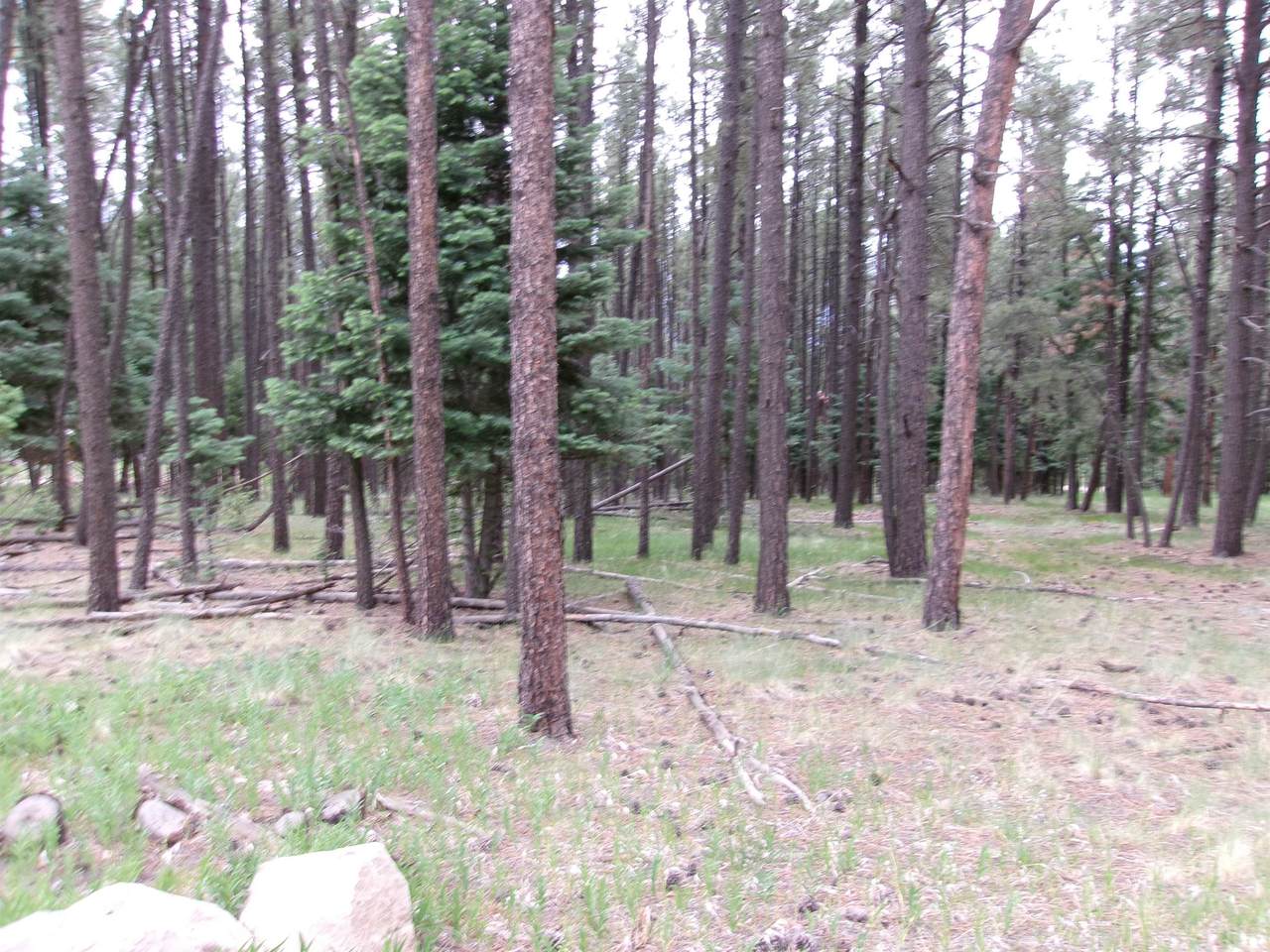 Lot 1077 Valle Grande Tr North - Photo 1