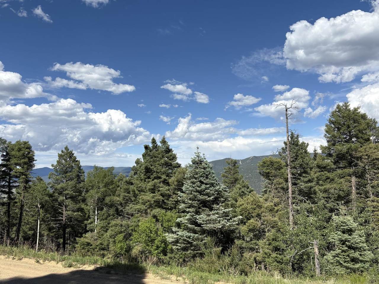 Lot 103 Zia Rd - Photo 1