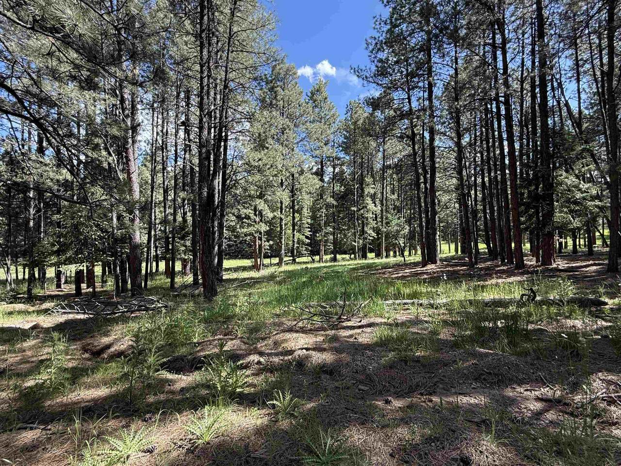 Lot 940 White Sands Circle - Photo 1