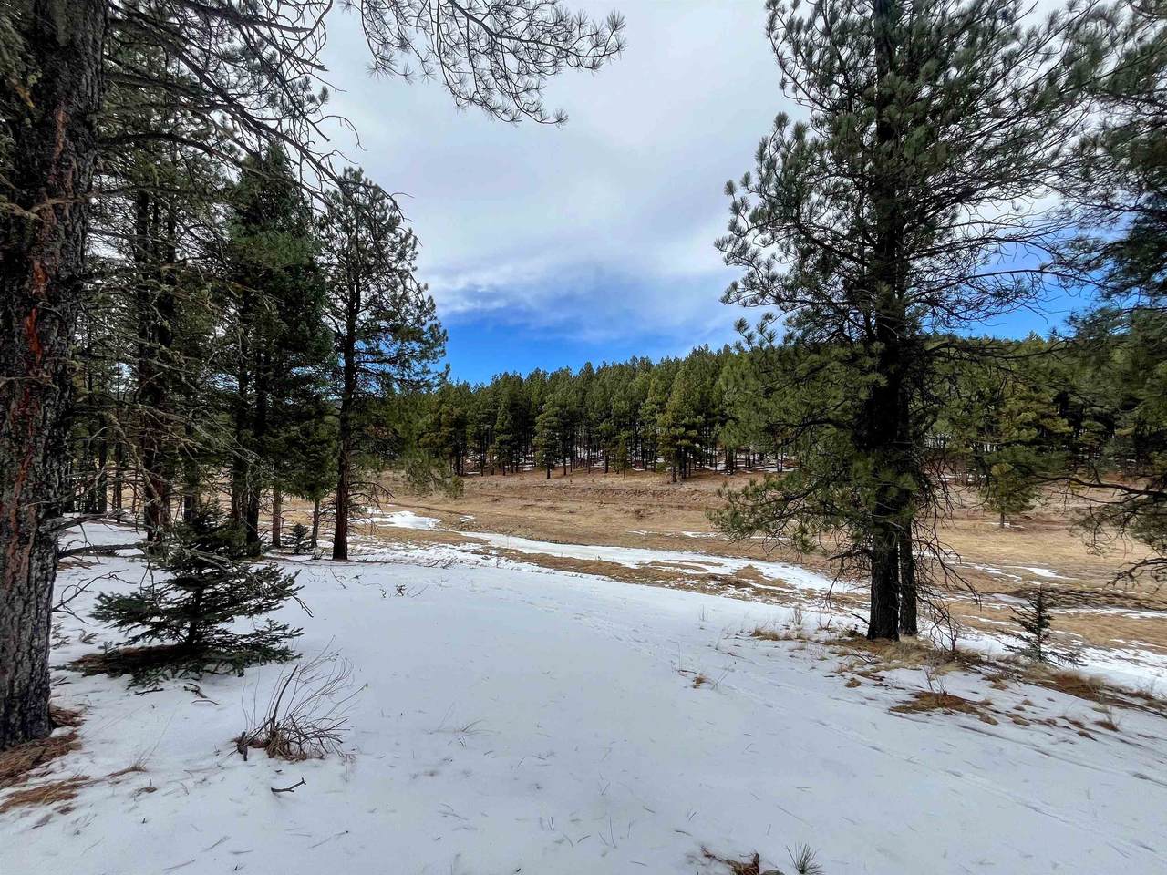 Lot 158 Valle Grande - Photo 1