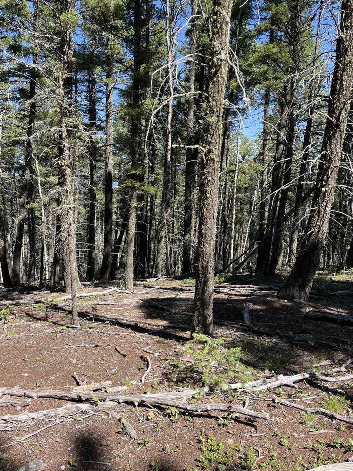 Lot 14 Back Basin Road - Photo 1