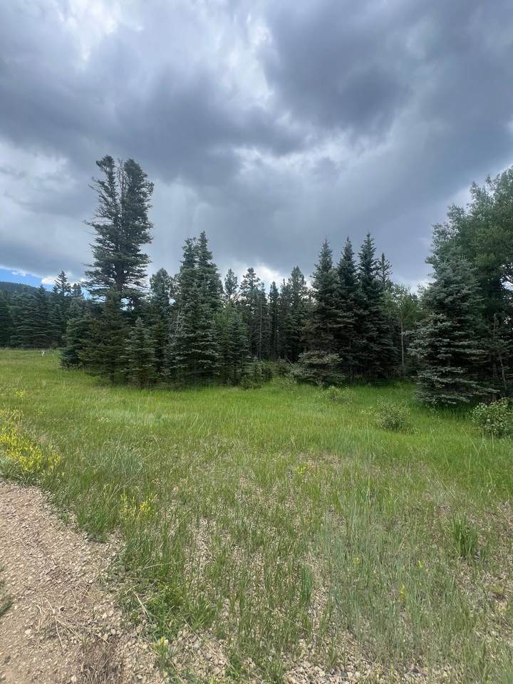 Elk Meadow Lot 82 - Photo 1