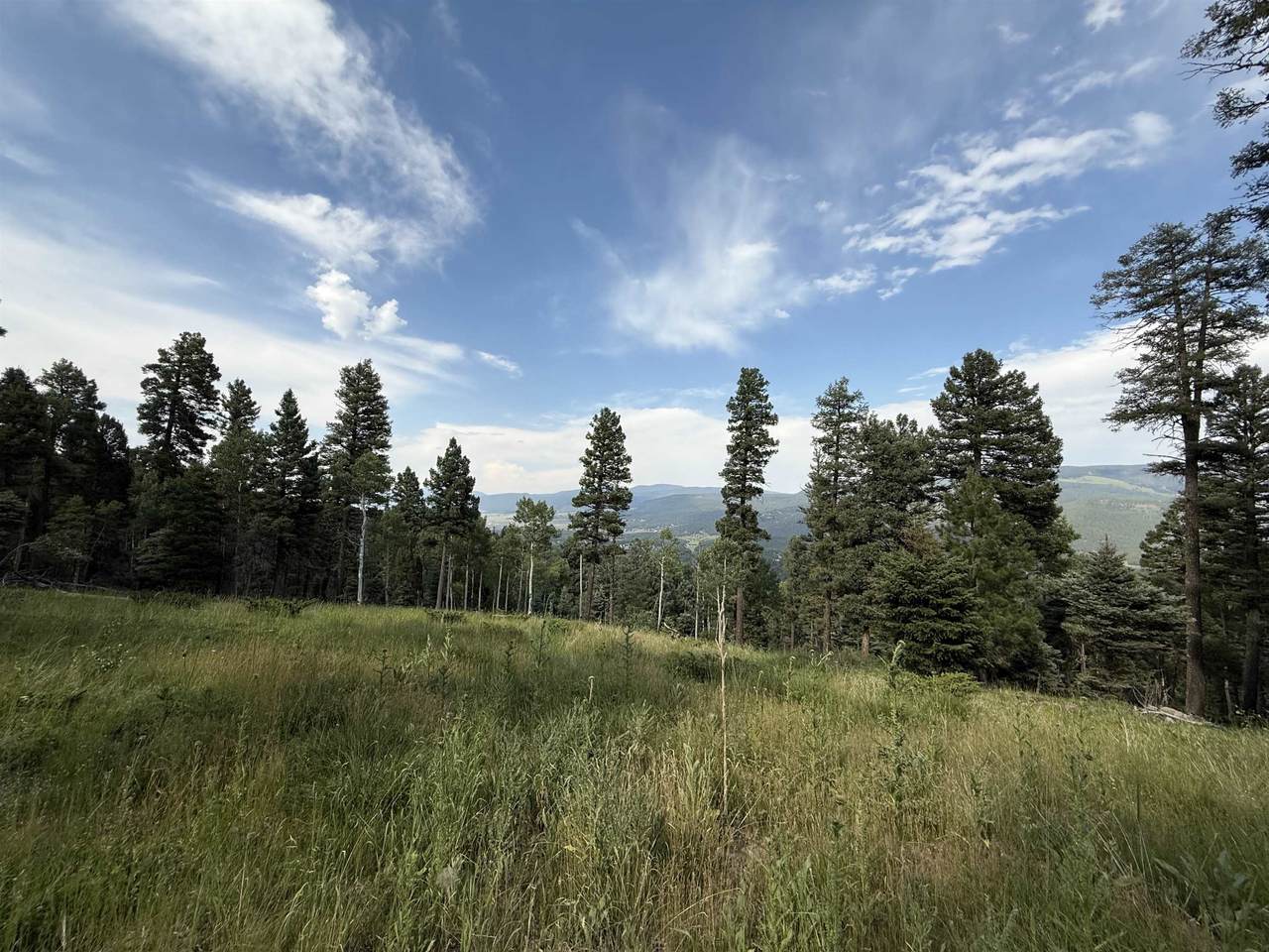 Lot 106 Zia Rd - Photo 1