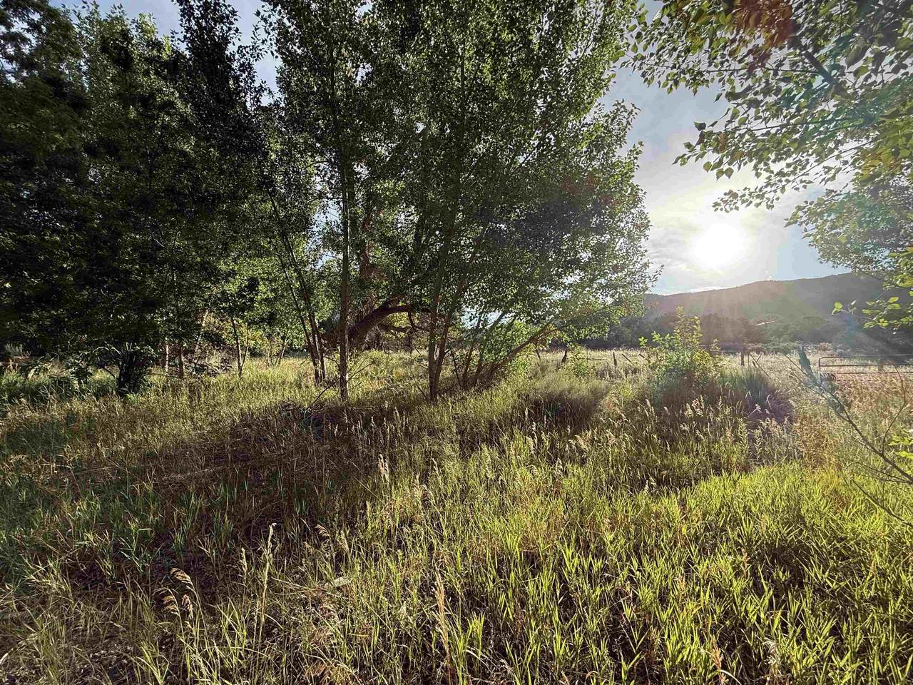 TBD Camino Andalucia - Photo 1