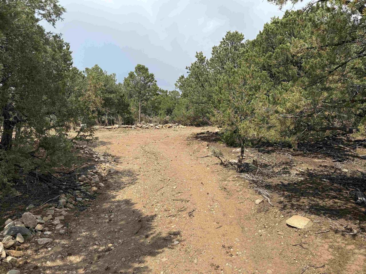 Lots 10 and 11 Lower Llano Road - Photo 1