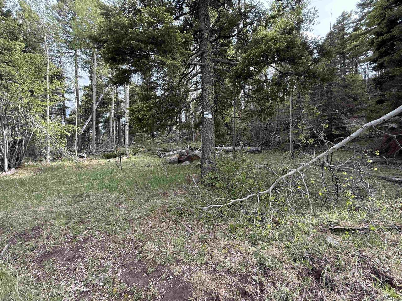 Lot 73 Vermejo Cir - Photo 1