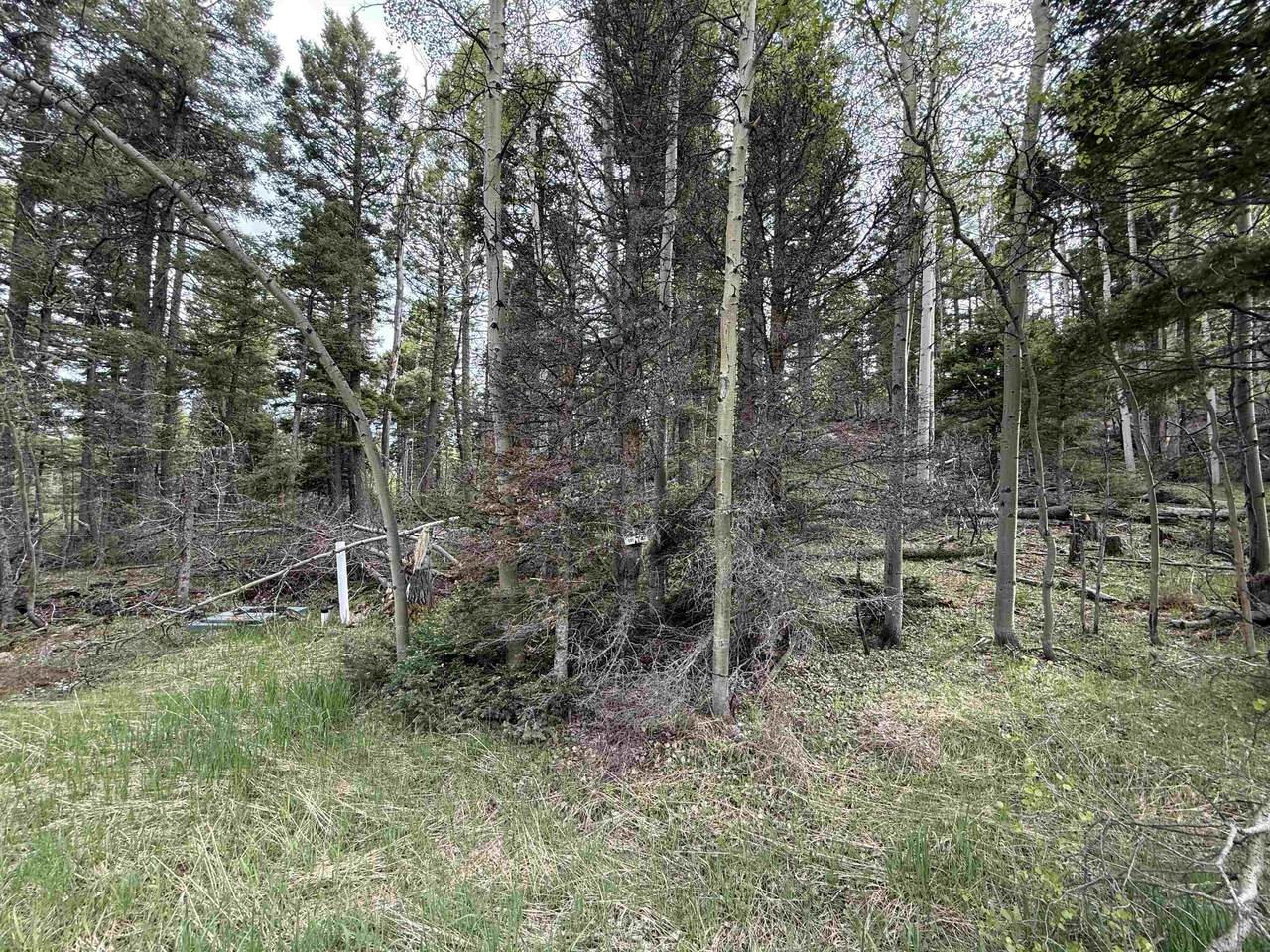 Lot 74 Vermejo Cir - Photo 1