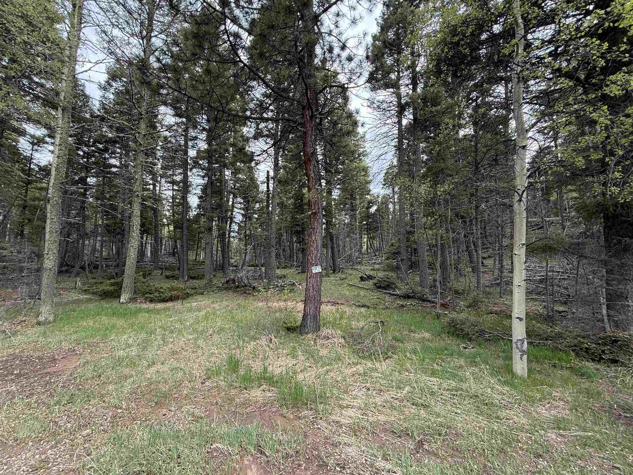 Lot 75 Vermejo Cir - Photo 1