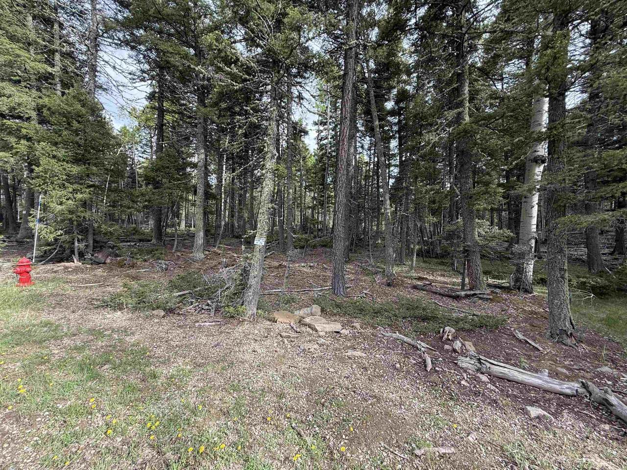 Lot 76 Vermejo Cir - Photo 1