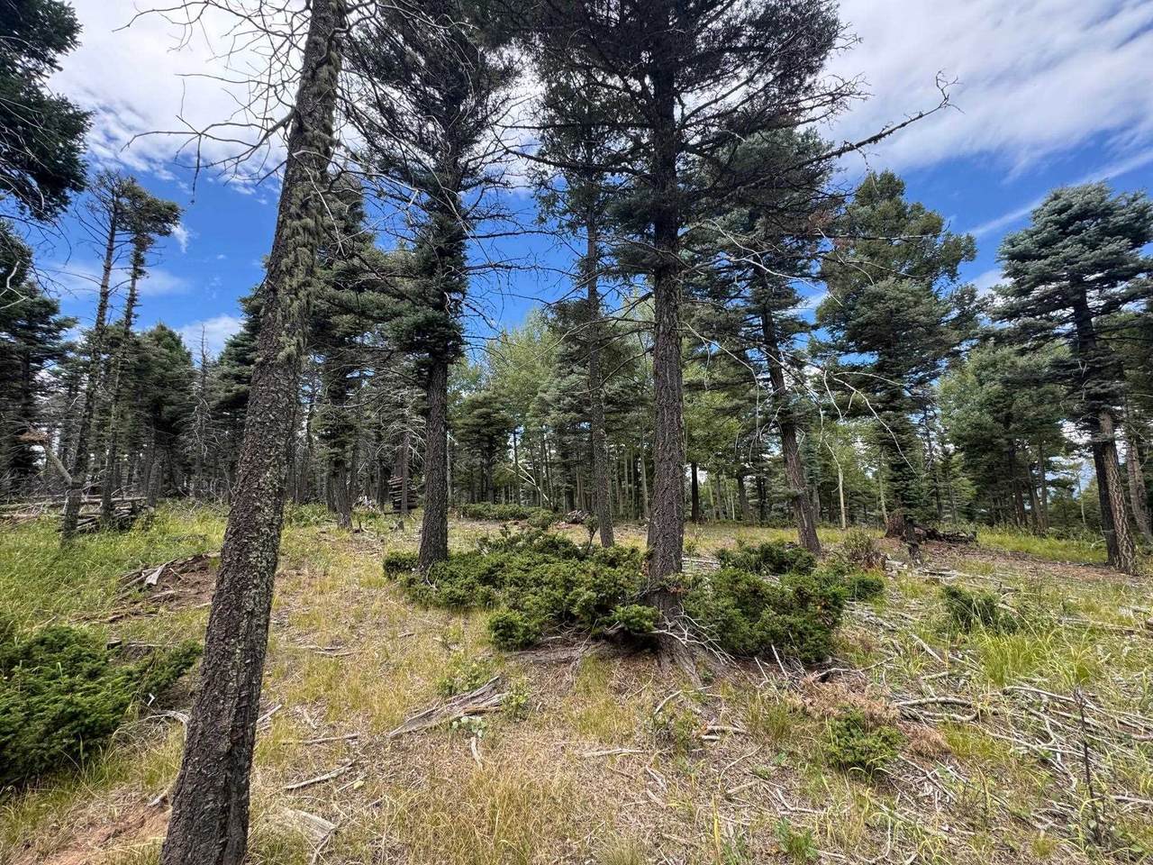 Lot 310 S Vail Overlook - Photo 1