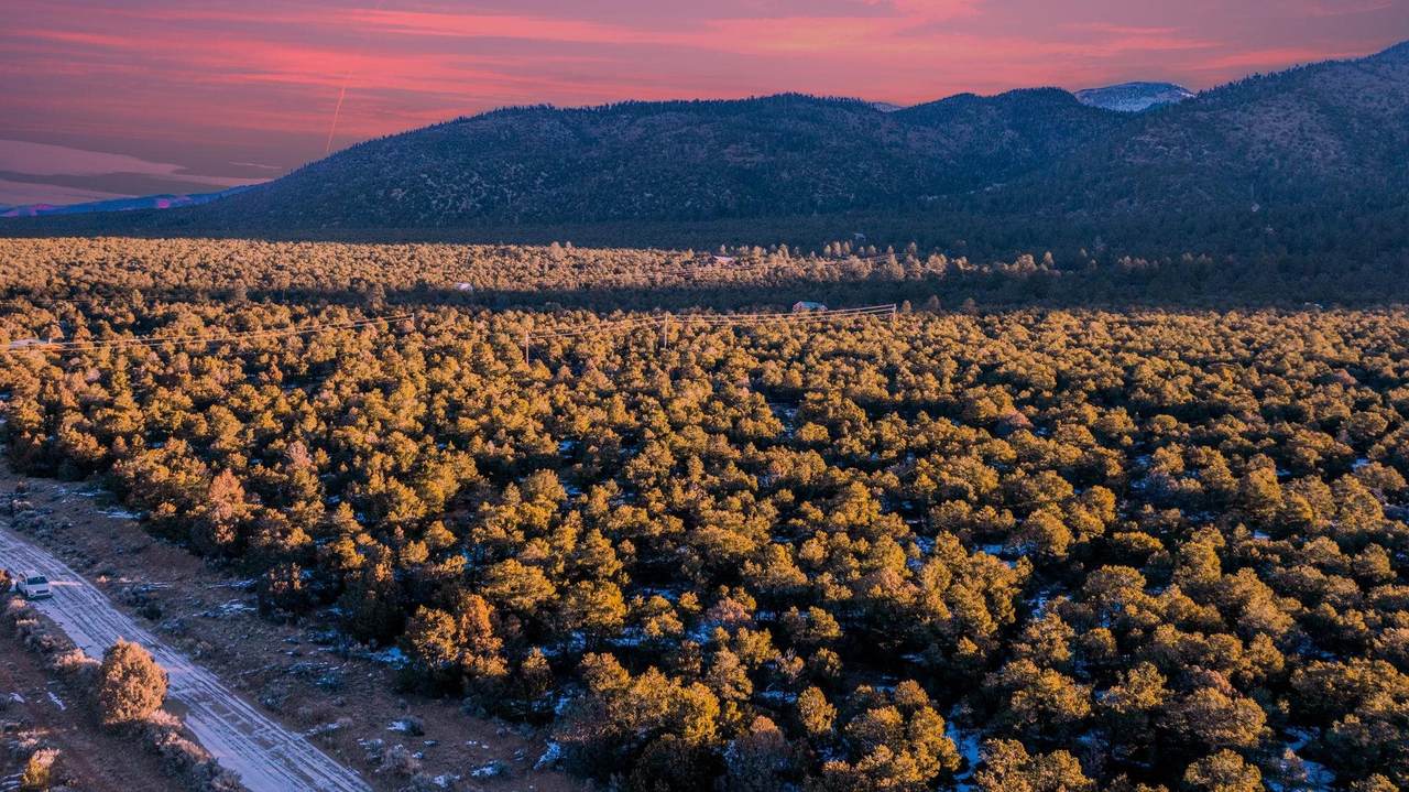 8 Echo Forest Road - Photo 1