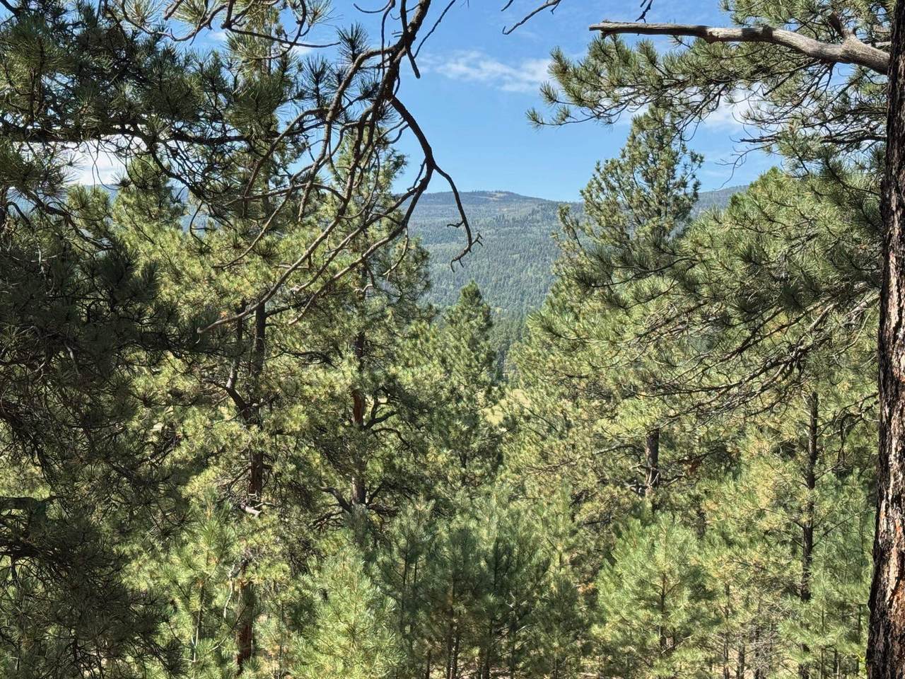 https://bt-photos.global.ssl.fastly.net/taos/1280_boomver_1_113939-5.jpg