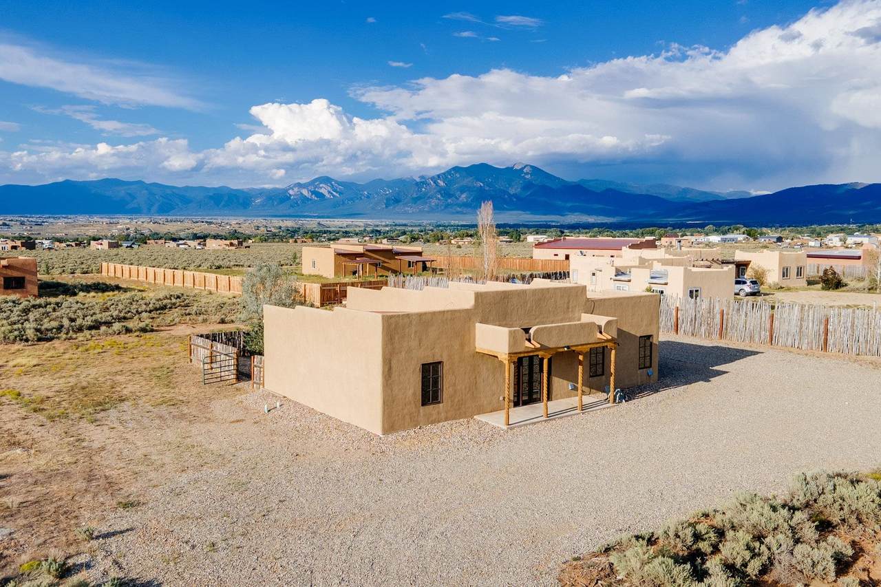 33 Cactus Flower - Photo 1