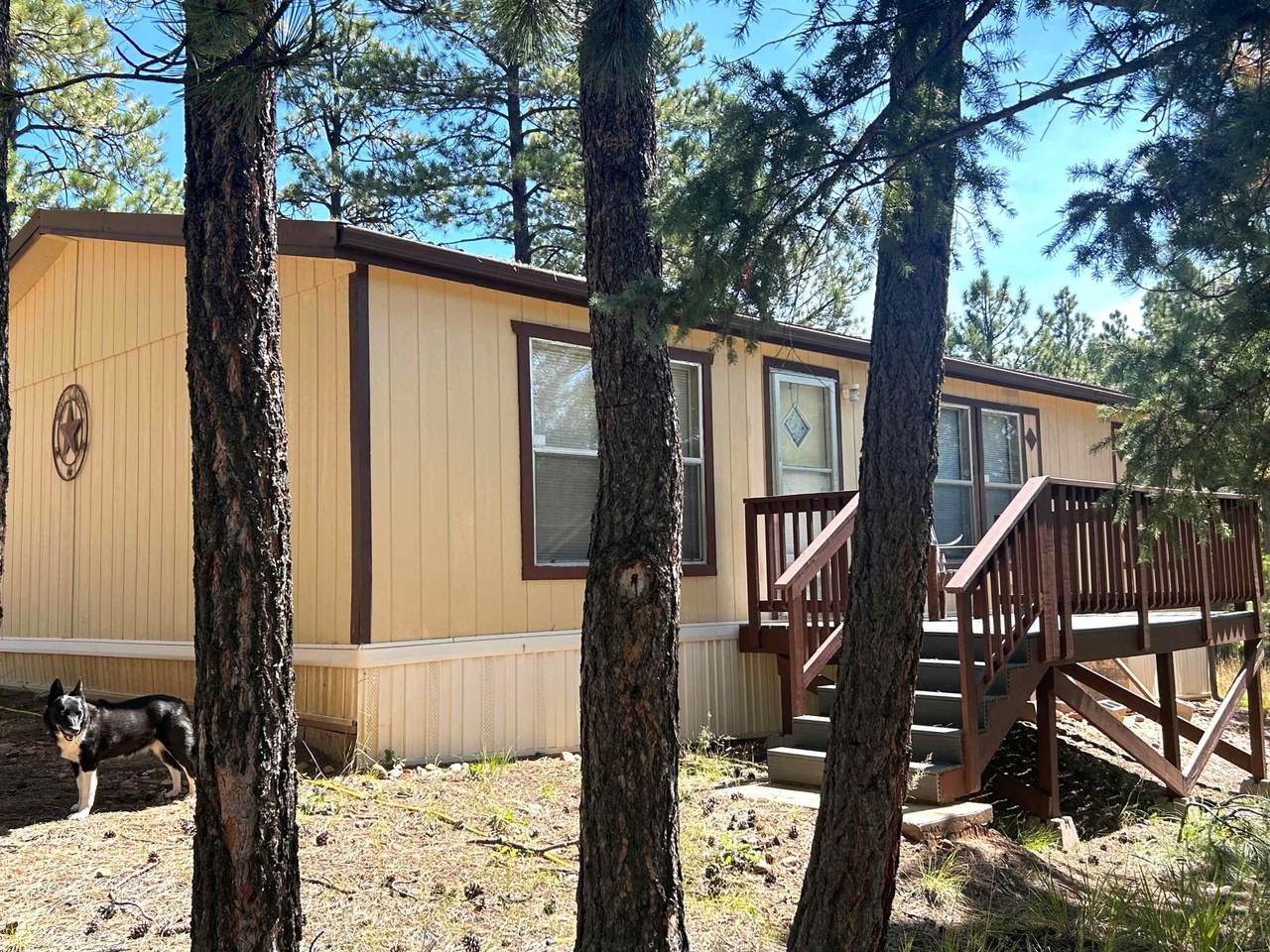 35 Bear Run Road - Photo 1