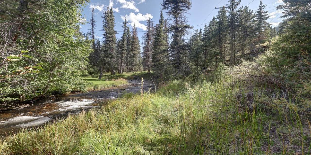 Lots 58 and 59 Valley Of The Pines - Photo 1