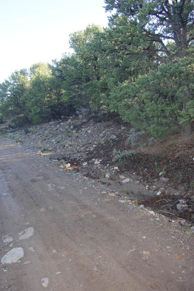 TBD Lot 4 Llano Rd - Photo 1