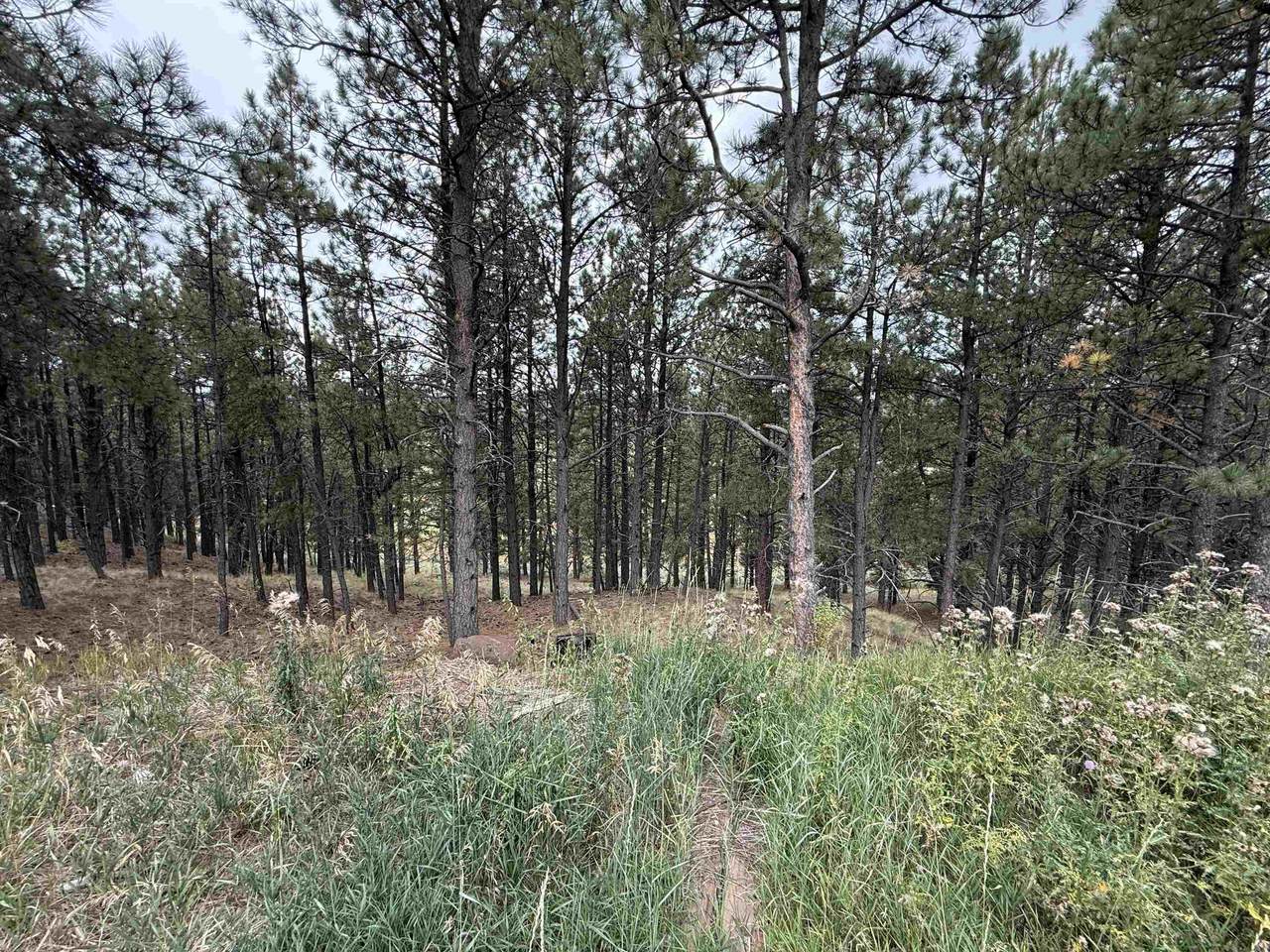 Lot 7 Valley Rd - Photo 1