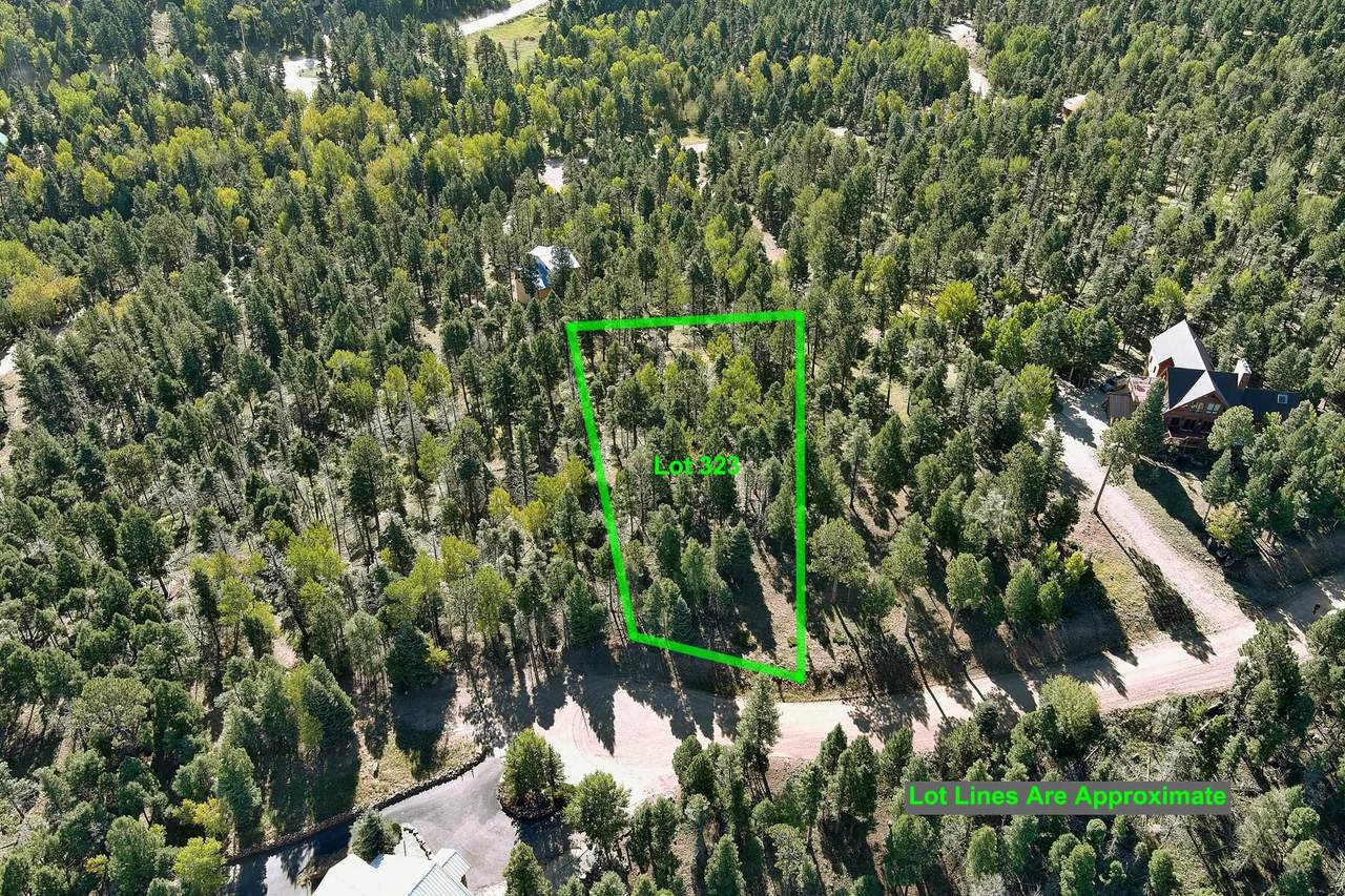Lot 323 Vail Overlook - Photo 1