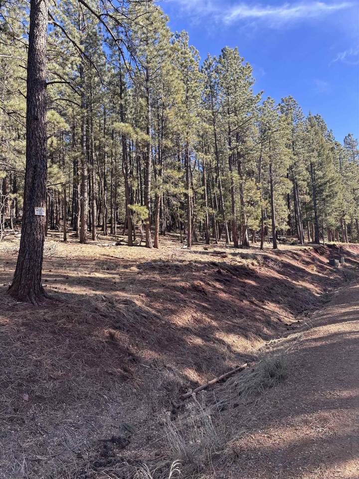Lot 88 Mammoth Mountain Rd - Photo 1