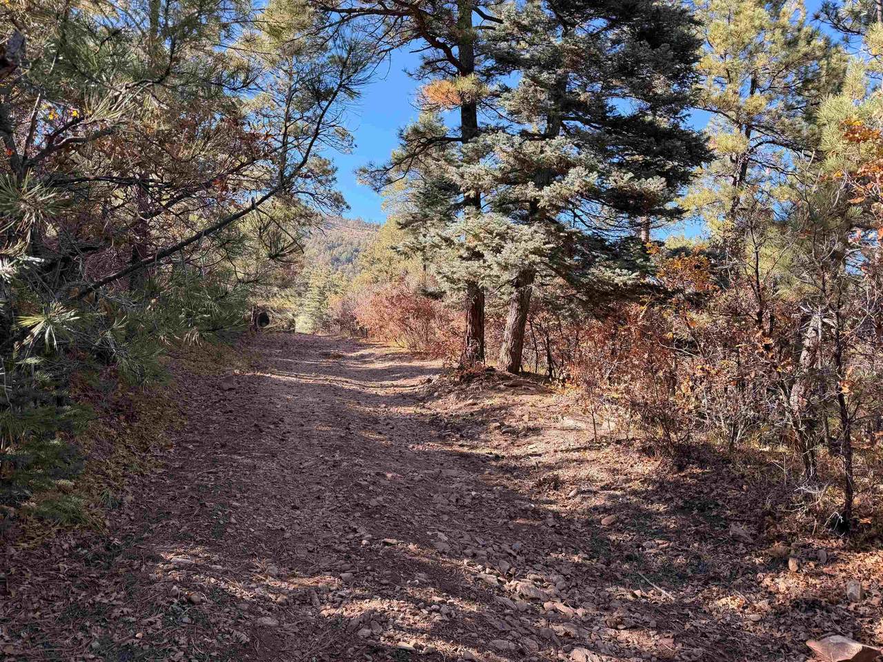 25 Acres County Road A034 - Photo 1