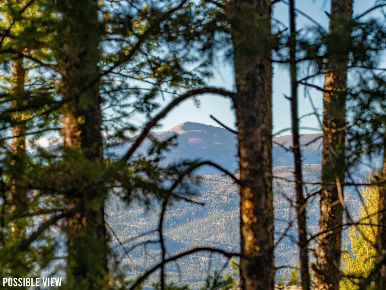 Lot 35 El Camino Real - Photo 1