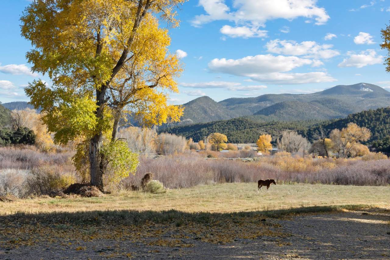 223 Amalia Schoolhouse Rd - Photo 1