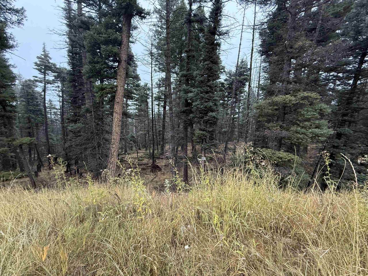 Lot 220 Peak Pl - Photo 1