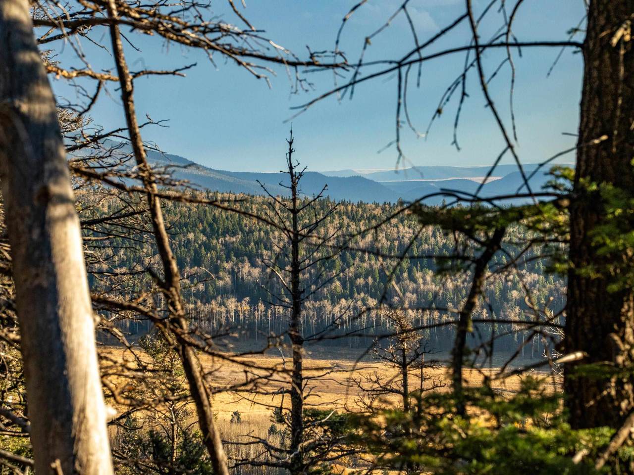 1306A Pleasant Valley Overlook - Photo 1