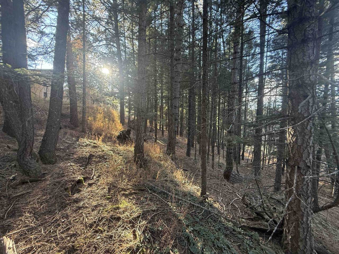 Lot 72 Mammoth Mountain Rd - Photo 1