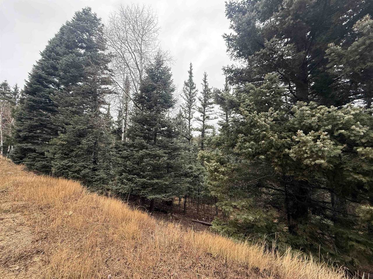 Lot 24 San Andres Terr - Photo 1