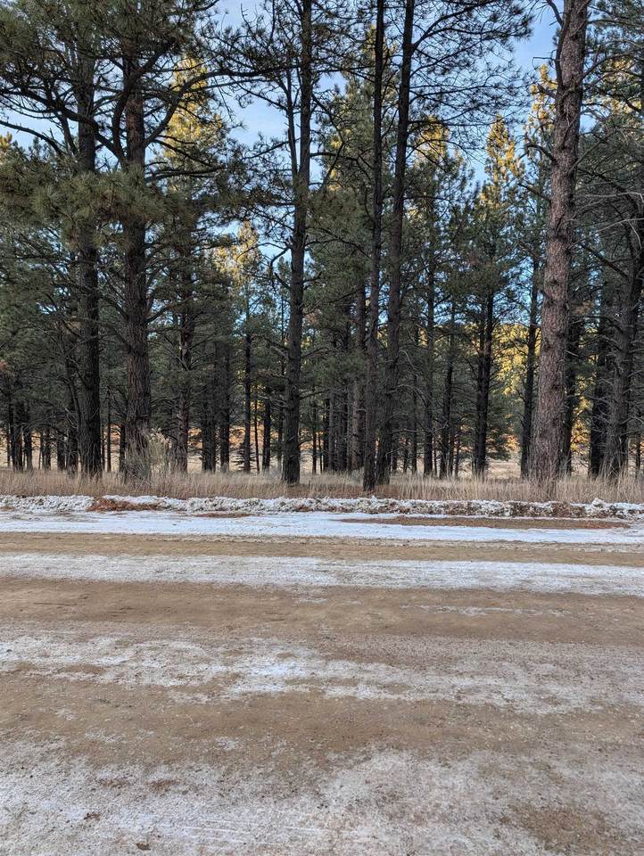 Lot 1315 Valle Grande Trail South - Photo 1