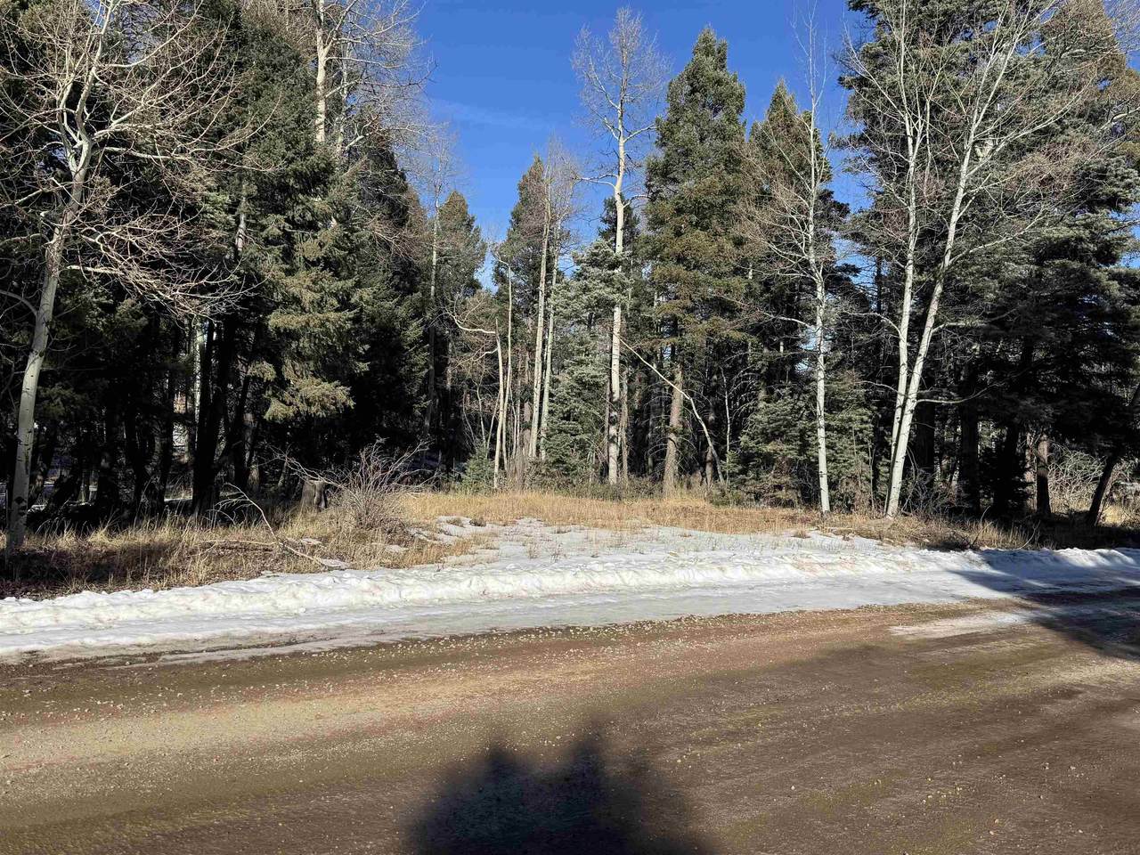 Lot 363 Vail Loop - Photo 1
