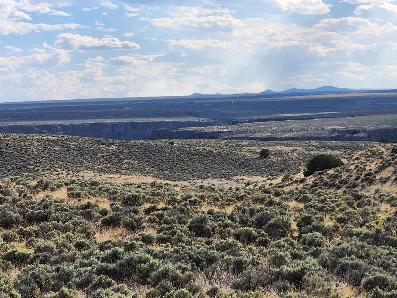 Off Calle Filberto - Photo 1