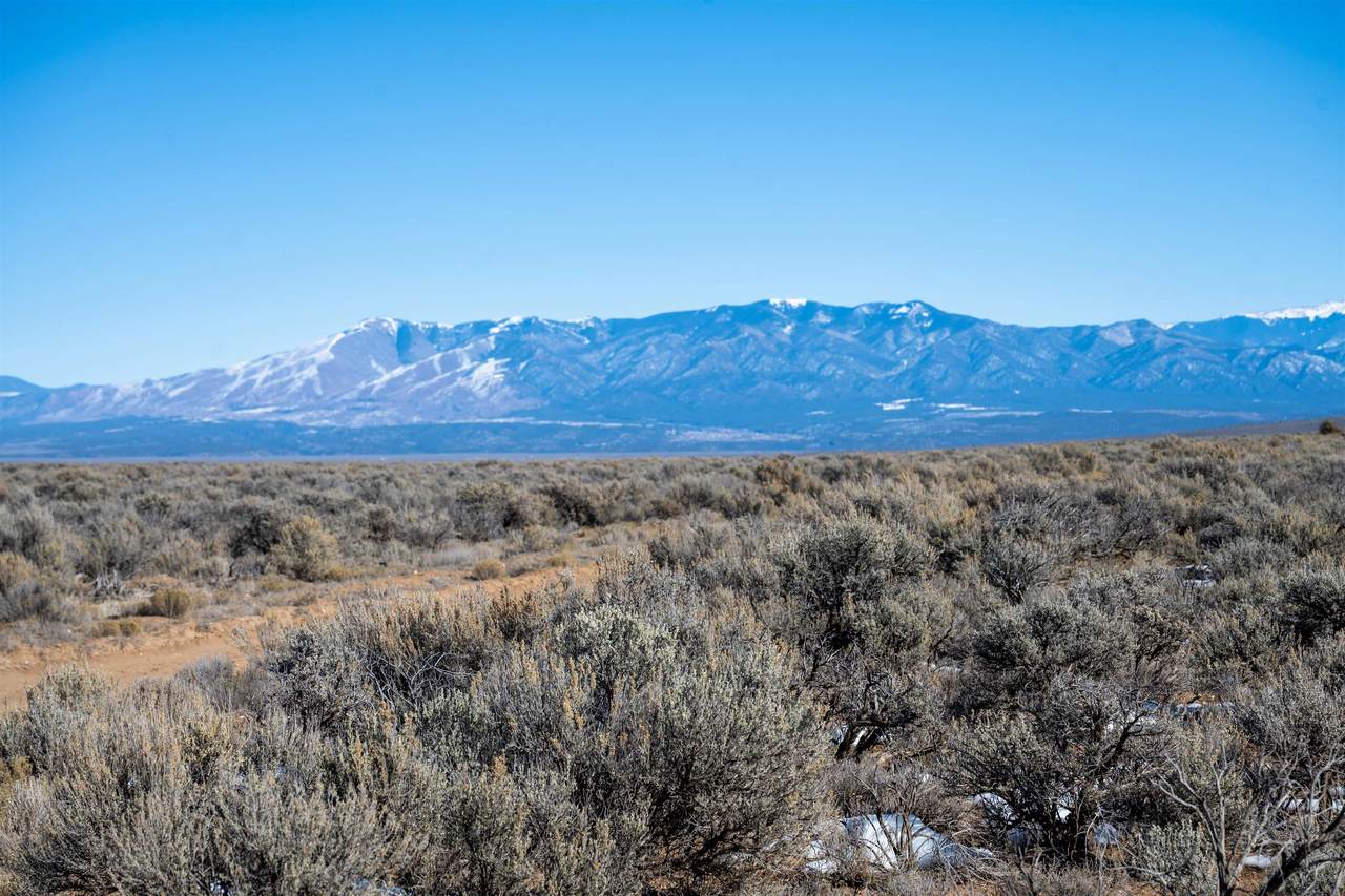 off Red Tail - Photo 1