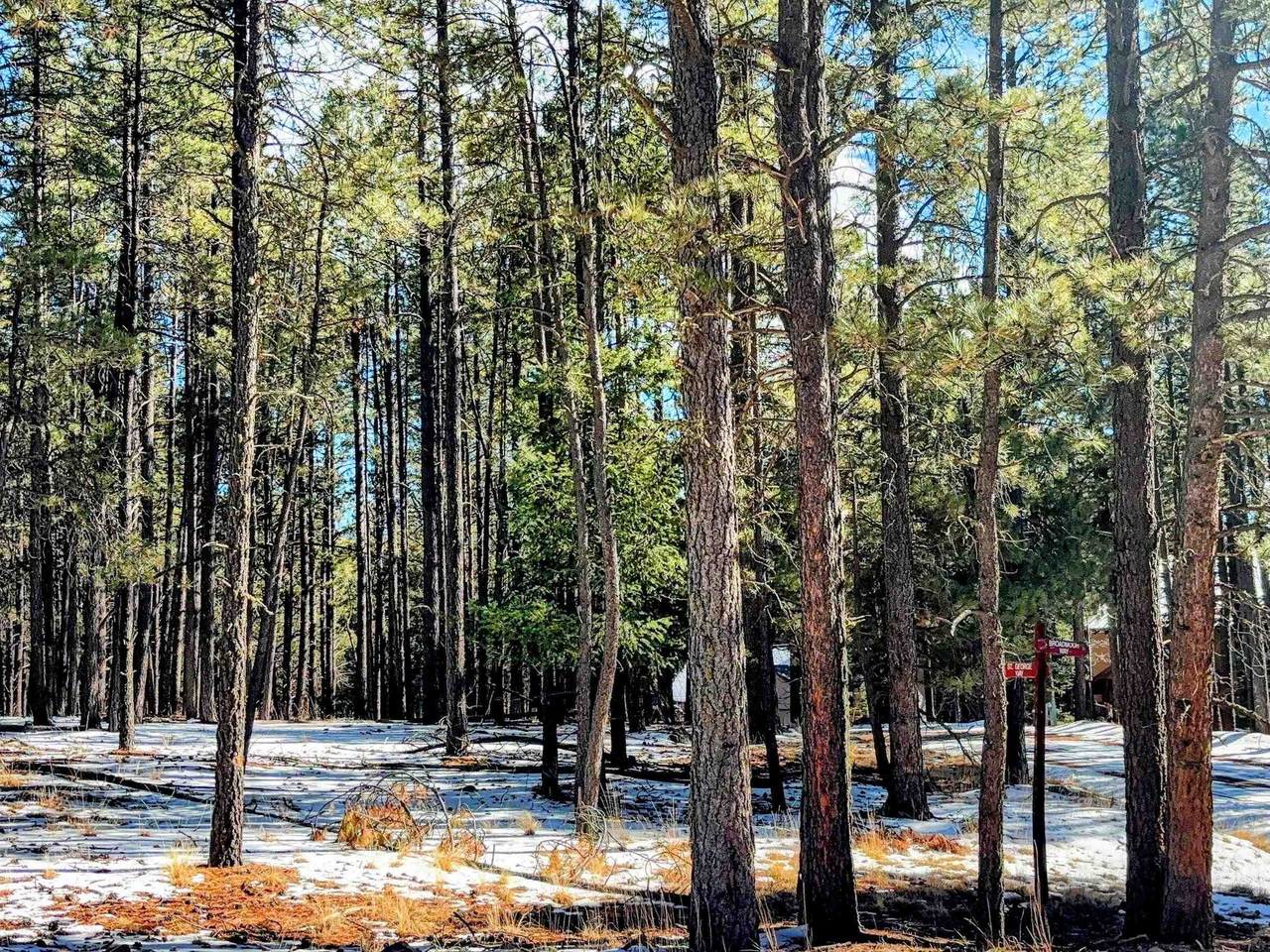 Lot 6 Broadmoor Way - Photo 1