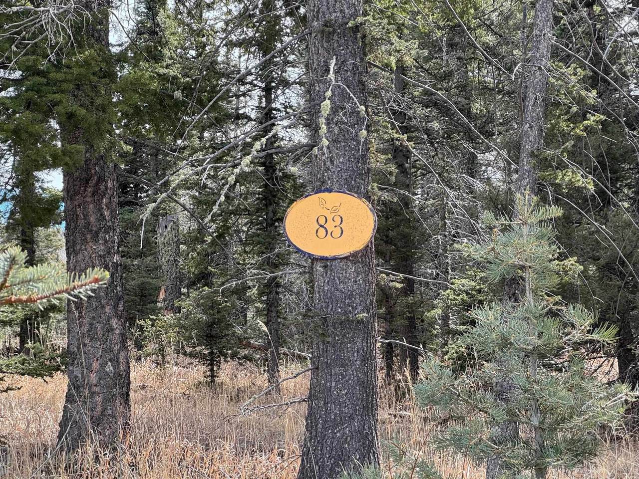 Lot 83 Elk Meadow - Photo 1
