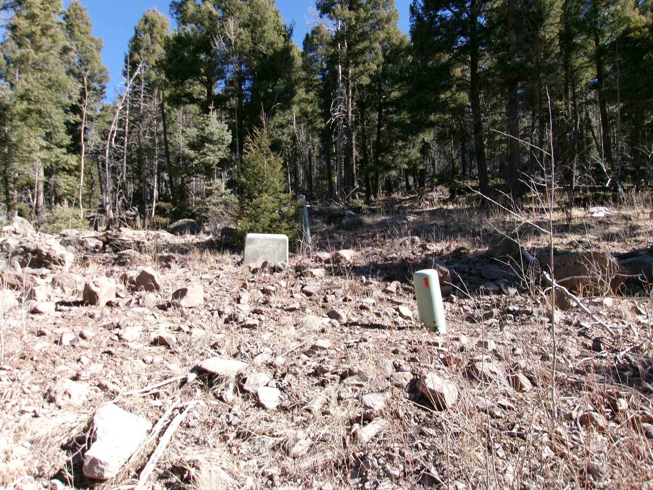 1119 El Camino Real Lot 1119 Nm - Photo 1