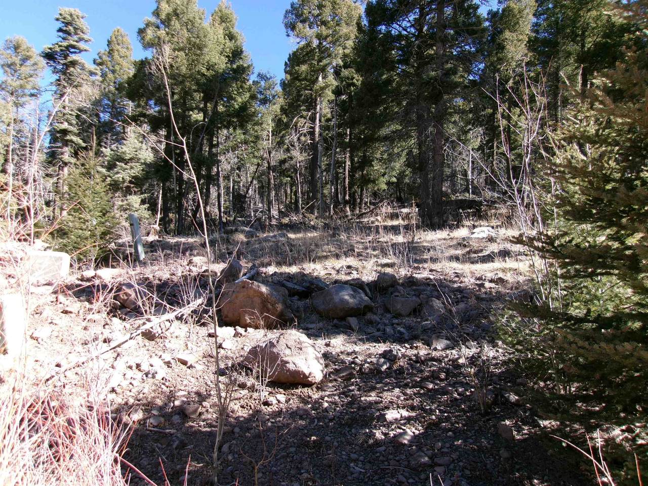 https://bt-photos.global.ssl.fastly.net/taos/1280_boomver_1_114660-2.jpg